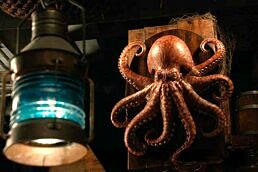 Bet 365 - Octopus